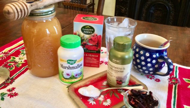 How to cure a UTI without antibiotics ~ Like Mother, Like Daughter