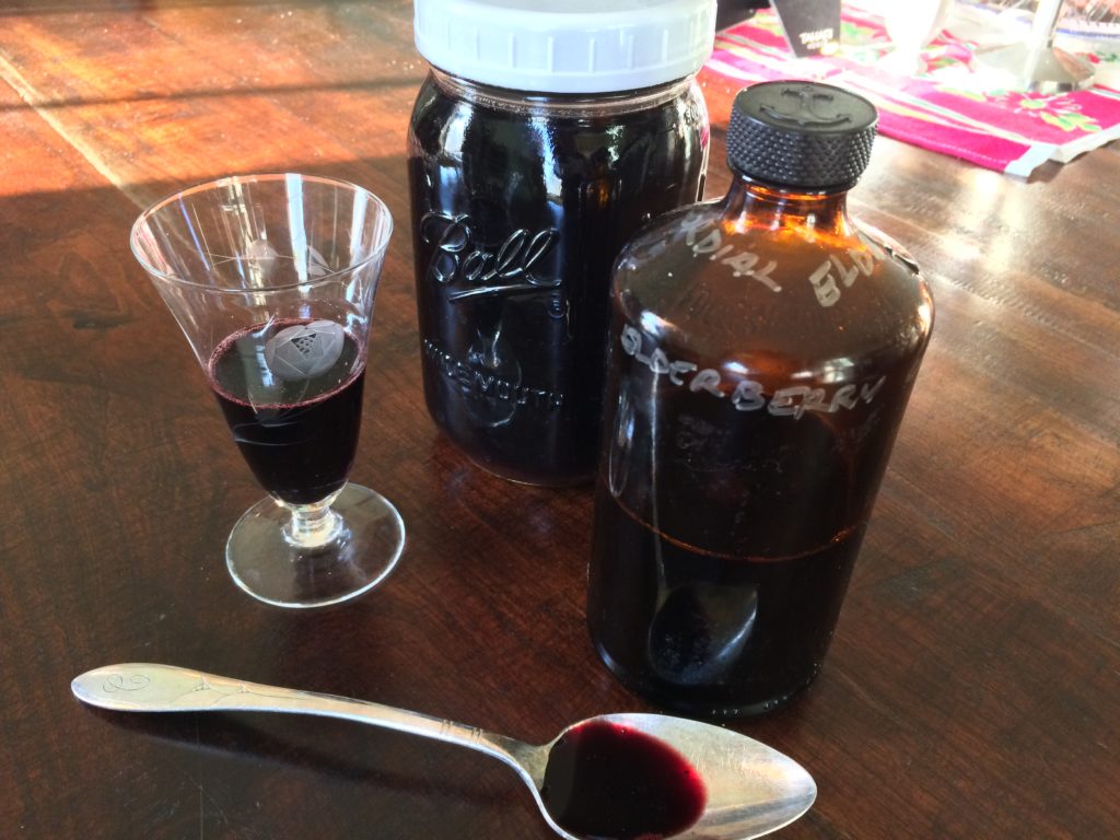 Elderberry cordial ~ {bits & pieces} ~ Like Mother, Like Daughter