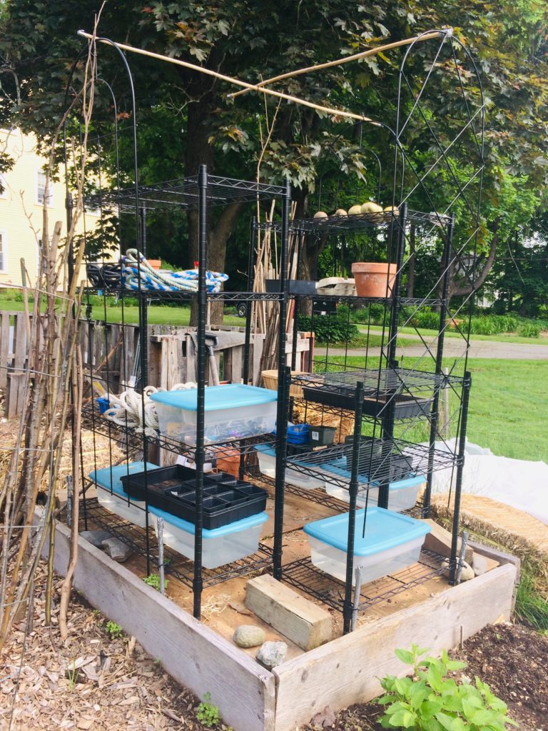 {bits & pieces} ~ Like Mother, Like Daughter DIY greenhouse